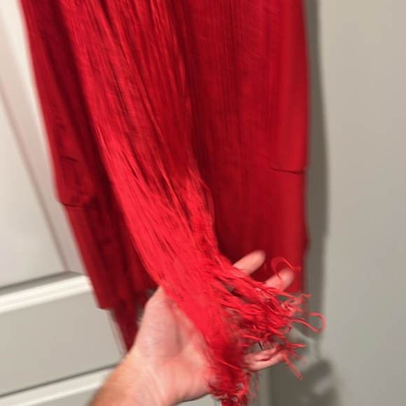 Red Fringe One-Shoulder Dress - Picture 3 of 3